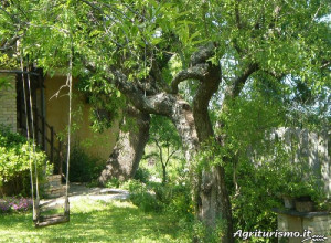 image25 Via Del Campo