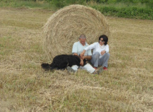 image2 Via Del Campo
