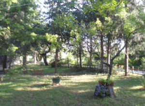 image19 Via Del Campo