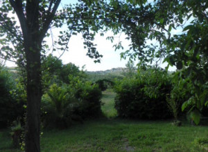 image9 Via Del Campo