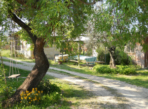 image21 Via Del Campo