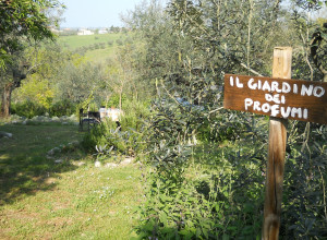 image22 Via Del Campo