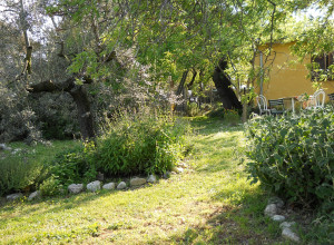 image5 Via Del Campo