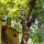 preview image7 esterno