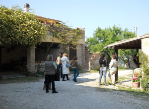 image11 Via Del Campo