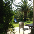 Due Palme
