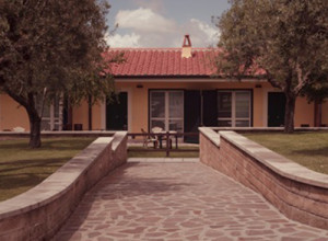 image0 La Vite E Gli Ulivi