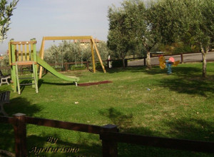 image20 La Vite E Gli Ulivi