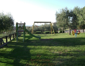 La Vite e Gli Ulivi