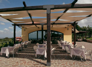 image13 La Vite E Gli Ulivi