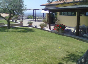 image22 La Vite E Gli Ulivi