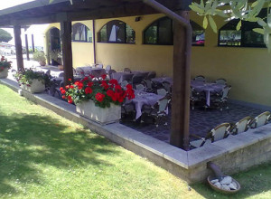 image26 La Vite E Gli Ulivi