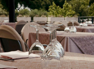 image19 La Vite E Gli Ulivi
