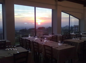 image17 La Vite E Gli Ulivi