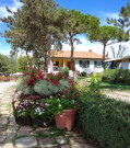 La Casina