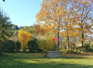 image2 Pian Del Pigro
