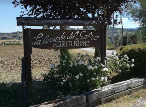 image8 La Locanda Del Gelso