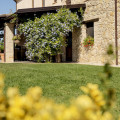 Collelago