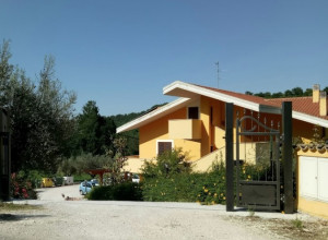 image1 La Collina Delle Rose