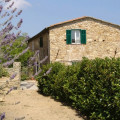 La Giuggiola