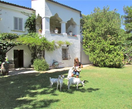 Farm-house Madonna Degli Angeli - Tocco Da Casauria