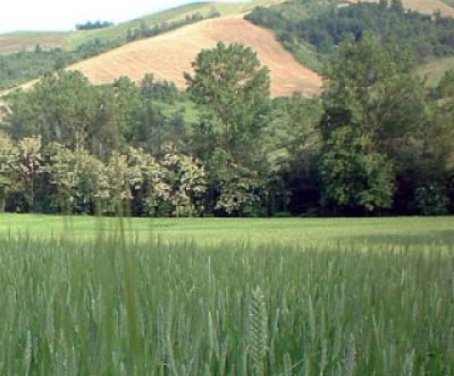 Ferienbauernhof Il Tondino - Fidenza