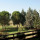 preview image4 esterno