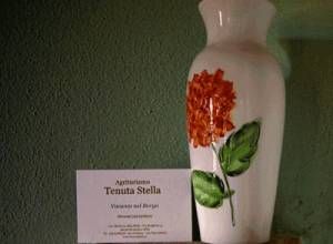 image5 Tenuta Stella