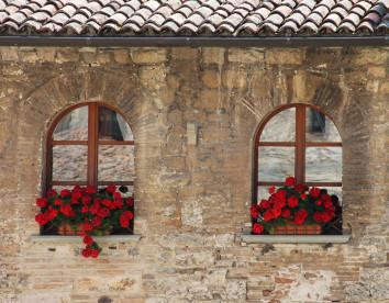 tenuta stella