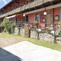 Arona
