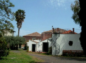 image8 Alcalà