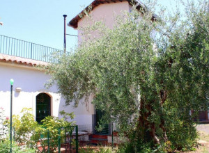 image7 Alcalà