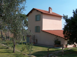 image0 Vigna Luisa
