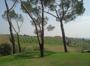 image3 Vigna Luisa