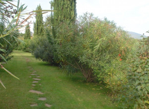image6 Vigna Luisa
