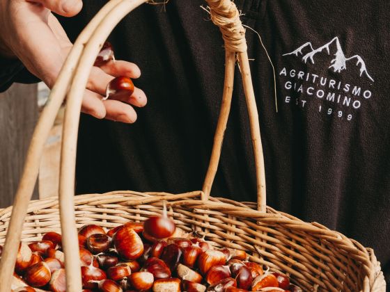 giacomino foto esterno 3