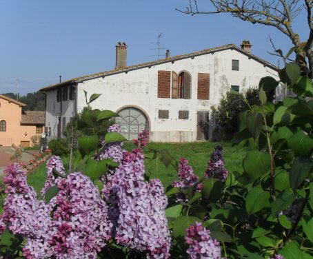 chianti b&b firenze - Toscana