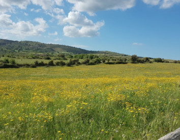 Porta Pantalica