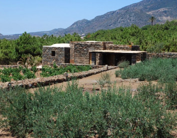Tenuta Borgia