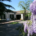 La Casa Di Pippinitto