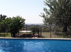 image0 Ruvitello