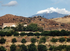 image10 Ruvitello