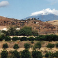 Ruvitello