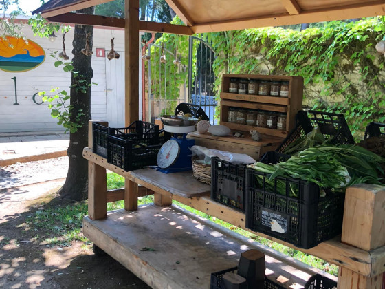 Salos foto produzione 16