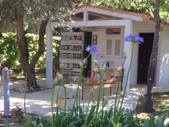 Salos foto reception 14