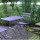 preview image9 giardino
