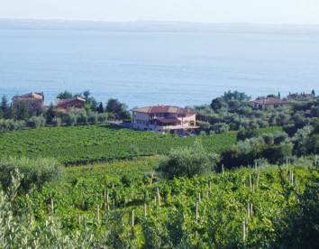 la rocca