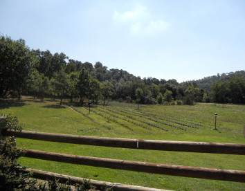 il casale delle ginestre