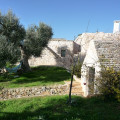 Riposo Del Vento