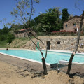 Godiolo 